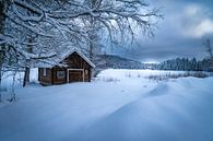 Besneeuwd landschap met schuur in zweden van Bart Cox thumbnail