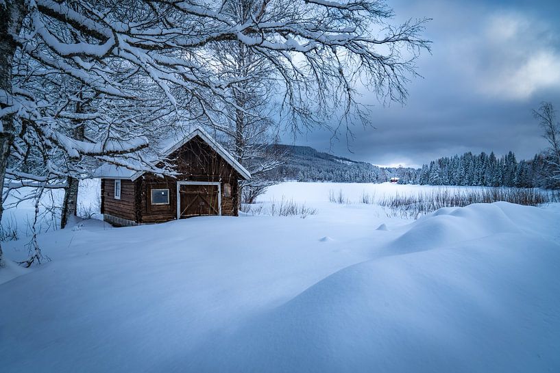 Besneeuwd landschap met schuur in zweden van Bart Cox