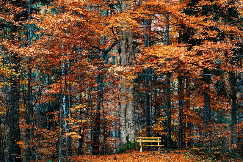 Eine stille Einladung, Weisensee par Lars van de Goor