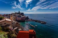 Prachtige haven van Cinque Terre van Roy Poots thumbnail