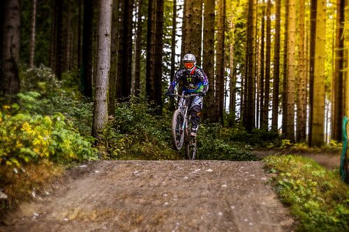 Mountainbiking im Wald