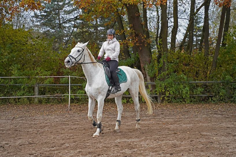 Training mit dem weißen Pferd auf einem Reitplatz im Herbst von Babetts Bildergalerie