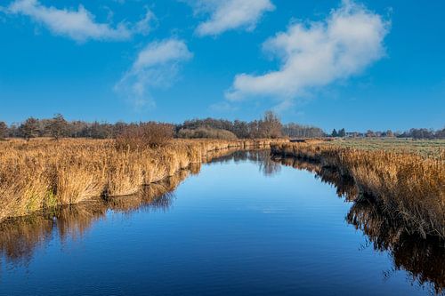 waterlandschap