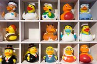 Missing Duck