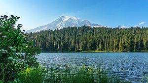 Stratovulkan Mount Rainier.