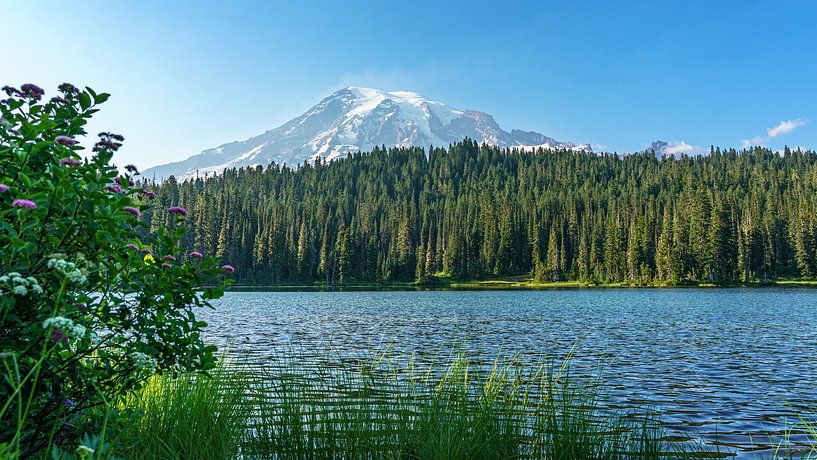 Stratovolcano Mount Rainier. by Jaap van den Berg