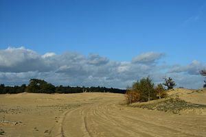 Sanddrift in der Sonne