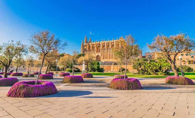 Cathedral la Seu in Palma de Majorca city center, Spain by Alex Winter