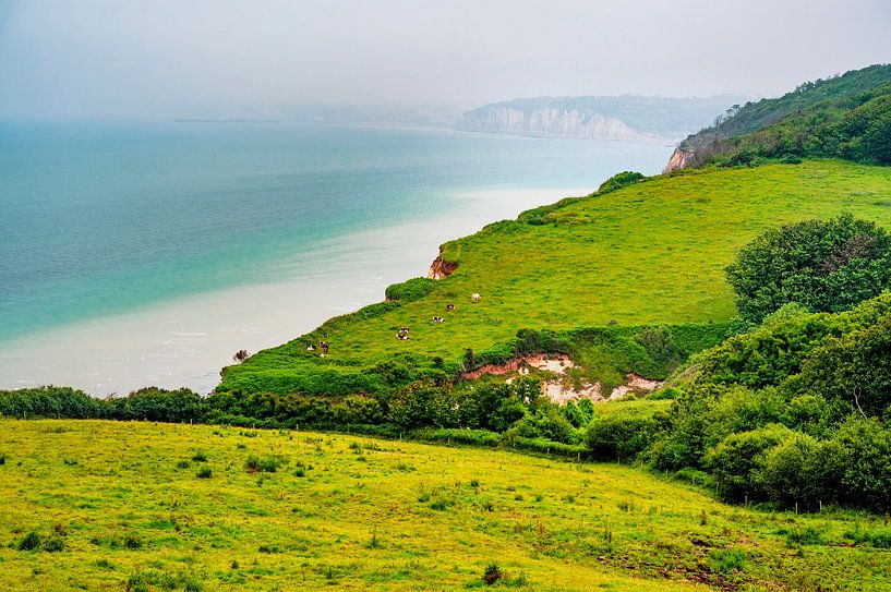 The Alabaster Coast near Varengeville-sur-Mer by Hilke Maunder