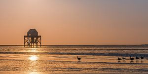Sonnenuntergang auf dem Engelsmanplaat