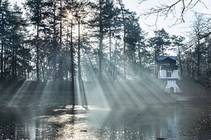 Rosée et soleil matinal Driebergen Zeist ! sur Peter Haastrecht, van