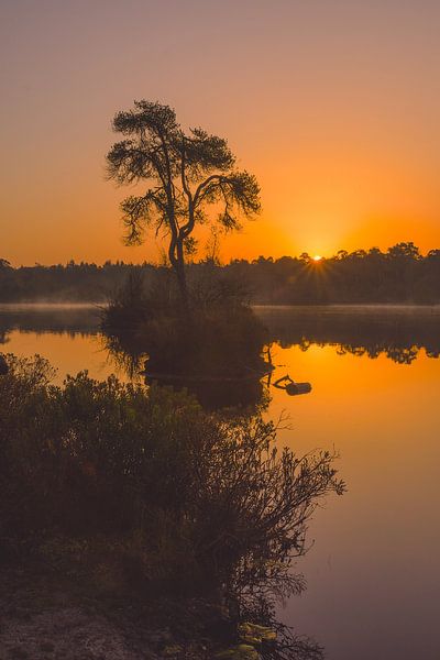 Sunrise Oisterwijk Fens by Freddie de Roeck