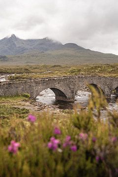 De Oude Sligachan Brug op Isle of Skye - Fotografie in Kleur in Schotland van Henrike Schenk