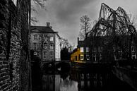 De gracht en haar panden van Jeroen Berendse thumbnail