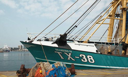 Im Hafen von Vlissingen