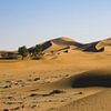 High sand dunes in the Sahara (Erg Chegaga) by Bep van Pelt- Verkuil