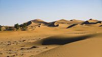 Hohe Sanddünen in der Sahara (Erg Chegaga)