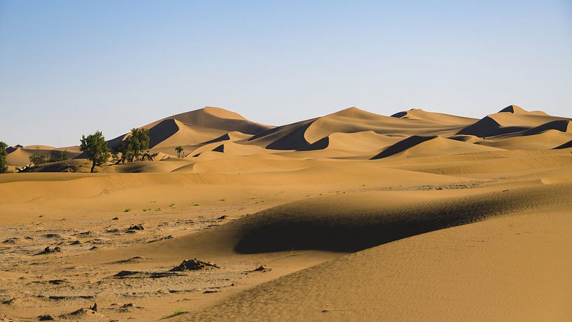 High sand dunes in the Sahara (Erg Chegaga) by Bep van Pelt- Verkuil
