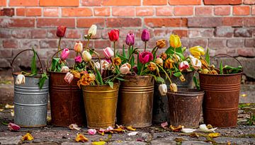 Tulpen in roestige emmers... van Ans Bastiaanssen