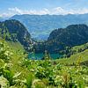 Vue sur les Alpes depuis le Stockhorn, gentiane jaune. Paysage des Alpes bernoises sur SusaZoom