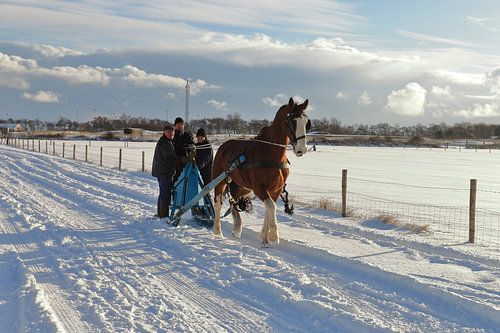 Ameland in winterkleed