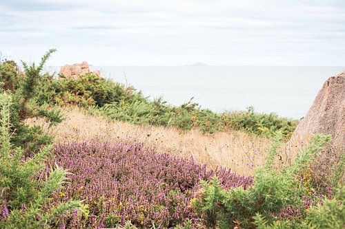 Côte de Granit Rose | Bretagne, Frankrijk