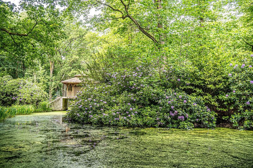 Le pavillon dans le parc des rhododendrons par Michael Gornig