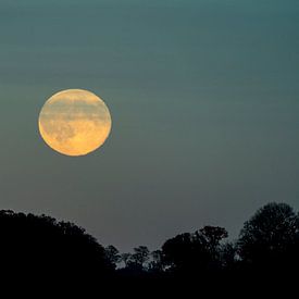 Full moon by Stephan Zaun