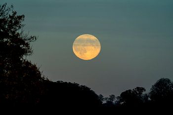 Pleine lune