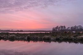 Sunset National Park De Alde Feanen by Sjoukje Kunnen