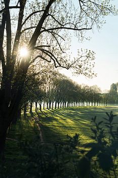 Käppnerweg im Frühling