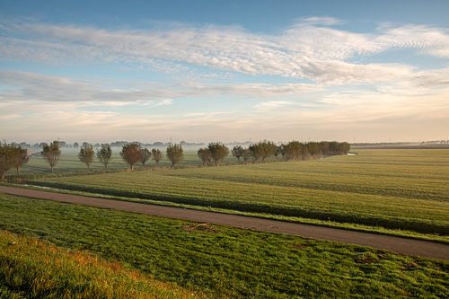 Polderlandschaft Alblasserwaard bei einem nebligen Sonnenaufgang.