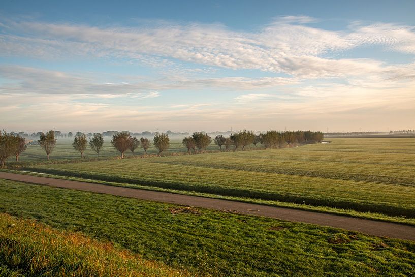 Polderlandschaft Alblasserwaard bei einem nebligen Sonnenaufgang. von René von Hout