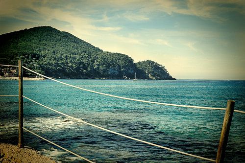 Rivage méditerranéen