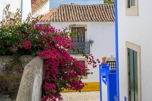 Bougainville bij een oud huis