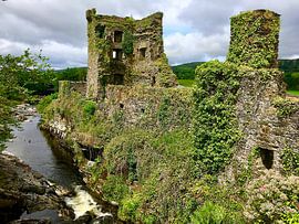 Carriganass Castle Ruins in Ireland by Thomas Zacharias