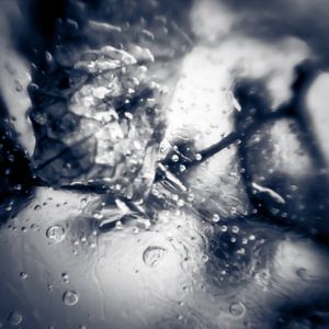 Frozen XIII