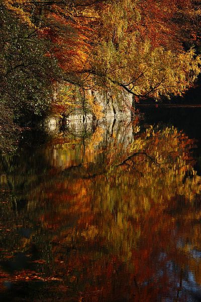 Goldener Herbst V von Meleah Fotografie