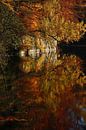 Goldener Herbst V von Meleah Fotografie Miniaturansicht
