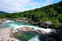 Wild River Landscape in Norway