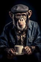 Studio portrait of a monkey