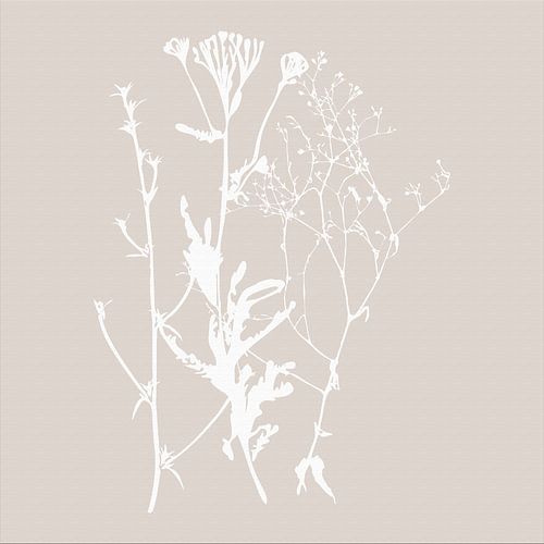 Botanica Delicata. Abstracte Retro Botanical in zacht beige