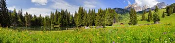 Panorama Almsee by Coen Weesjes