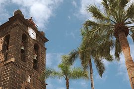 Kerktoren en palmbomen - Historische architectuur La Palma