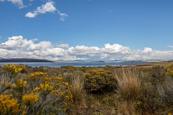 Mono lake 