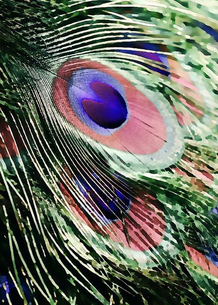Plume de paon de rêve par Mad Dog Art