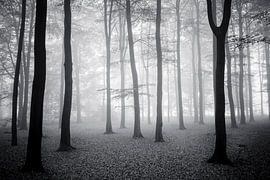 Herfst bos.  von Rens Zwanenburg