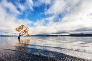 lac Wanaka