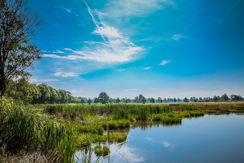 Meer onder een blauwe hemel by Stedom Fotografie