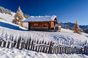 Seiser Alm Südtirol